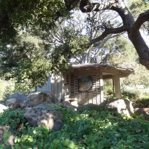 Information Kiosk under oak canopy