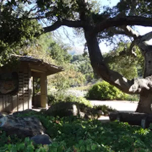 Information Kiosk under oak canopy