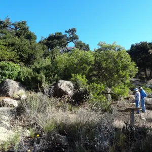 visitors in the Desert Section