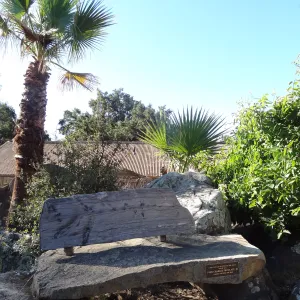 wood bench, Pritzlaff Bench, Desert Section