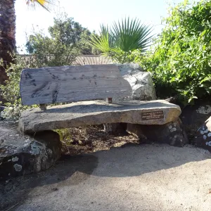 wood bench, Pritzlaff Bench, Desert Section