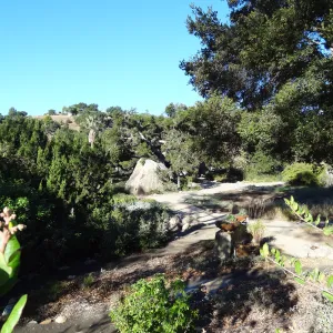 view to Blaksley Boulder from parking lot