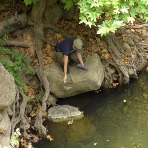 Steelhead trout release below Mission Dam. Gaytha Morningstar checks water temperature and oxygen content.