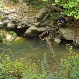 Steelhead trout release below Mission Dam. Gaytha Morningstar checks water temperature and oxygen content.