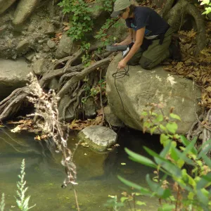 Steelhead trout release below Mission Dam. Gaytha Morningstar checks water temperature and oxygen content.