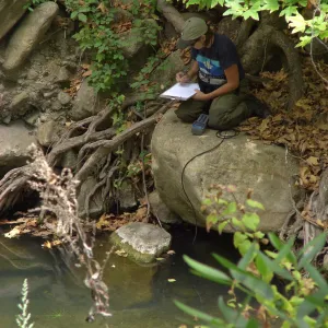 Steelhead trout release below Mission Dam. Gaytha Morningstar checks water temperature and oxygen content.