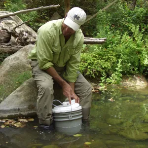 Steelhead trout release below Mission Dam