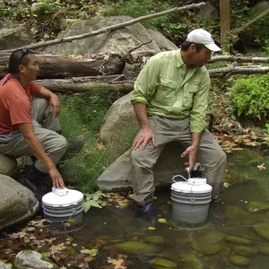 Steelhead trout release below Mission Dam. Matching the temperature of the water in the buckets to the pool.