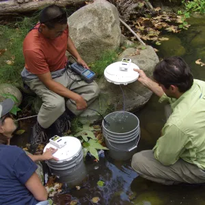 Steelhead trout release below Mission Dam. Matching the temperature of the water in the buckets to the pool.