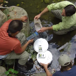 Steelhead trout release below Mission Dam. Matching the temperature of the water in the buckets to the pool.