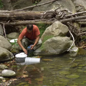 Steelhead trout release below Mission Dam. Releasing the smaller fish.