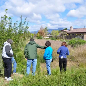 Native Plant Tour, UCSB North Parcel