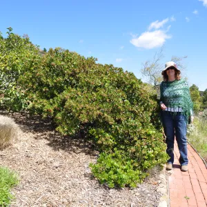 Native Plant Tour,Toro Canyon, Wallin garden, Betsy Collins