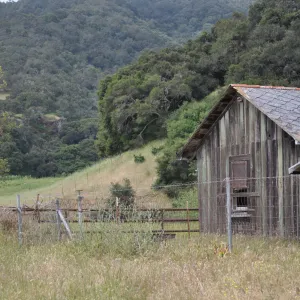 Garden field trip to Indian Knob, San Luis Obispo county