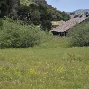 Garden field trip to Indian Knob, San Luis Obispo county