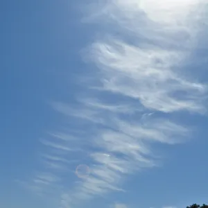 Garden field trip to Indian Knob, San Luis Obispo county