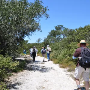 Garden field trip to Indian Knob, San Luis Obispo county