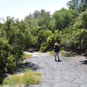 Garden field trip to Indian Knob, San Luis Obispo county
