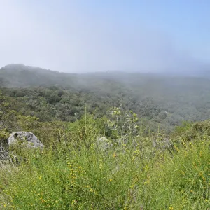 Garden field trip to Indian Knob, San Luis Obispo county