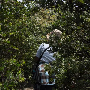 Garden field trip to Indian Knob, San Luis Obispo county