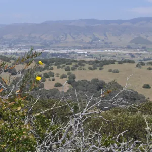 Garden field trip to Indian Knob, San Luis Obispo county