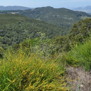Garden field trip to Indian Knob, San Luis Obispo county