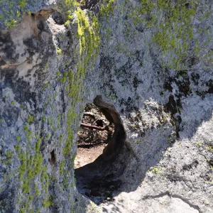 Garden field trip to Indian Knob, San Luis Obispo county