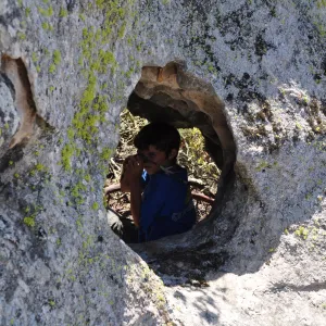 Garden field trip to Indian Knob, San Luis Obispo county