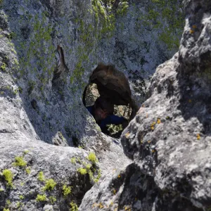 Garden field trip to Indian Knob, San Luis Obispo county
