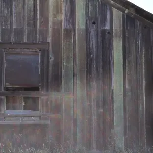 Garden field trip to Indian Knob, San Luis Obispo county