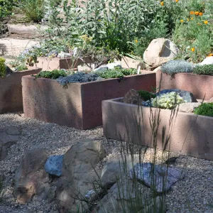 Trough garden in Meadow View