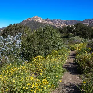 PorterTrail, La Cumbre Peak, SBBG Photo Contest 2013