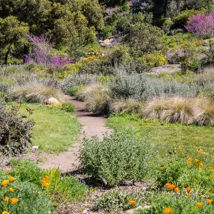 Meadow path in spring, SBBG Photo Contest 2013