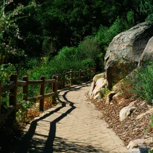 Campbell Trail path, SBBG Photo Contest 2013