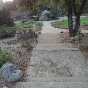 stone steps and path to Blaksley Boulder, Spring in the Garden, February 2013, SBBG