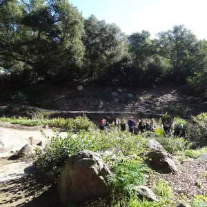 Winter Morning Bird Walk with Rebecca Coulter in the Arroyo Section, Spring in the Garden, February 2013, SBBG