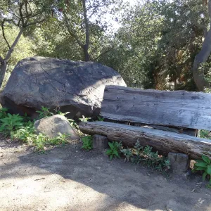 wood bench and sandstone boulder, Manzanita Section, Spring in the Garden, February 2013, SBBG