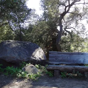 wood bench and sandstone boulder, Manzanita Section, Spring in the Garden, February 2013, SBBG
