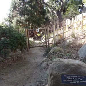 Tea House Display Garden, Spring in the Garden, February 2013, SBBG