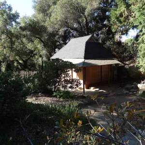 Tea House Display Garden, Spring in the Garden, February 2013, SBBG