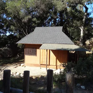 Tea House Display Garden, Spring in the Garden, February 2013, SBBG