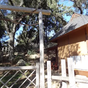 Tea House Display Garden, Spring in the Garden, February 2013, SBBG