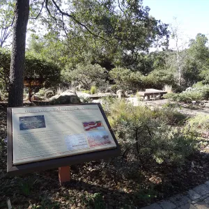 Border Display Garden, Home Demonstration Garden, Spring in the Garden, February 2013, SBBG