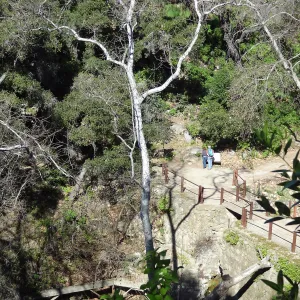 view to Mission Dam, visitors at interpretive sign, Spring in the Garden, February 2013, SBBG