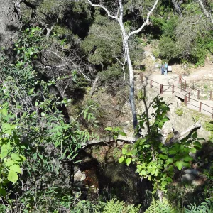 view to Mission Dam, visitors at interpretive sign, Spring in the Garden, February 2013, SBBG