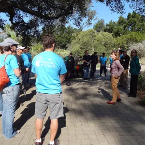 Citrix volunteers, SBBG staff, entrance oak, May 2013