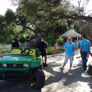 Citrix volunteers, SBBG staff, entrance oak, May 2013