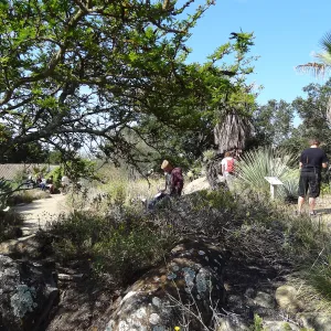 class, student group, students in the Garden, Desert Section