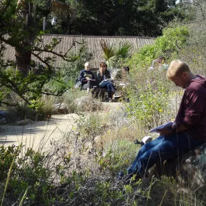 class, student group, students in the Garden, Desert Section