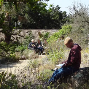class, student group, students in the Garden, Desert Section